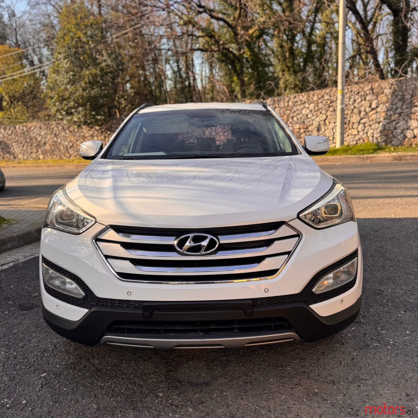 2013' Hyundai Santa Fe photo #4