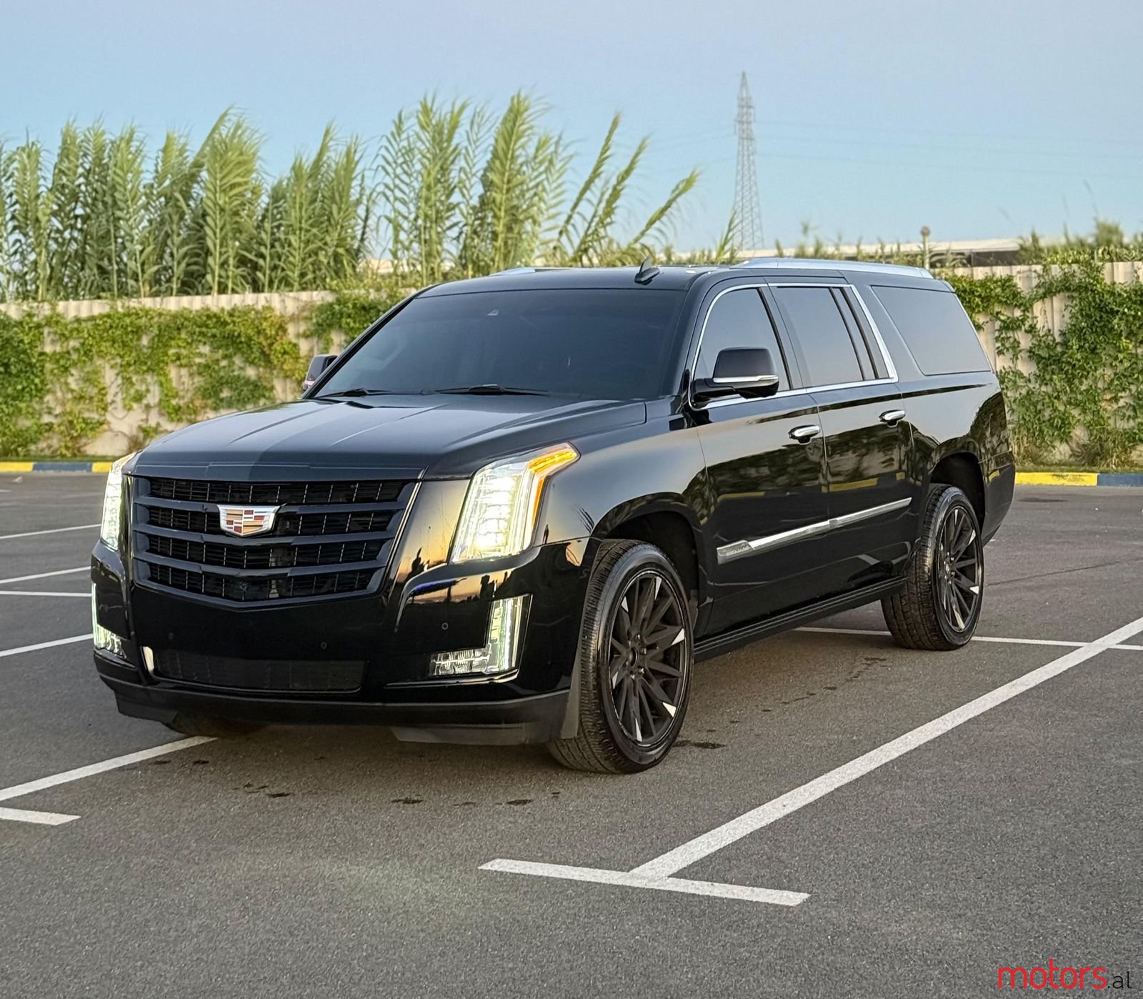 2016' Cadillac Escalade photo #4