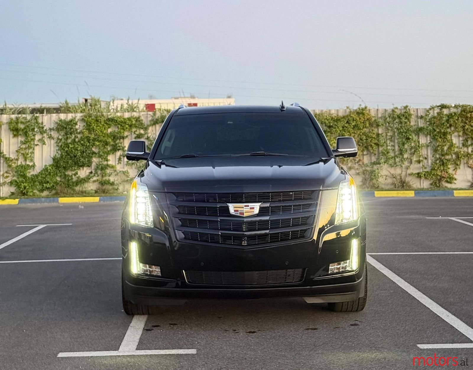 2016' Cadillac Escalade photo #6