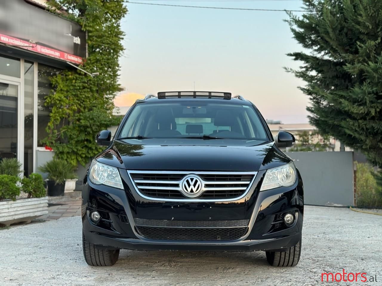 2010' Volkswagen Tiguan photo #3