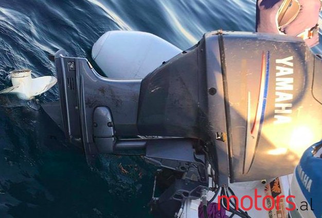 2009' Johnson BRP photo #6