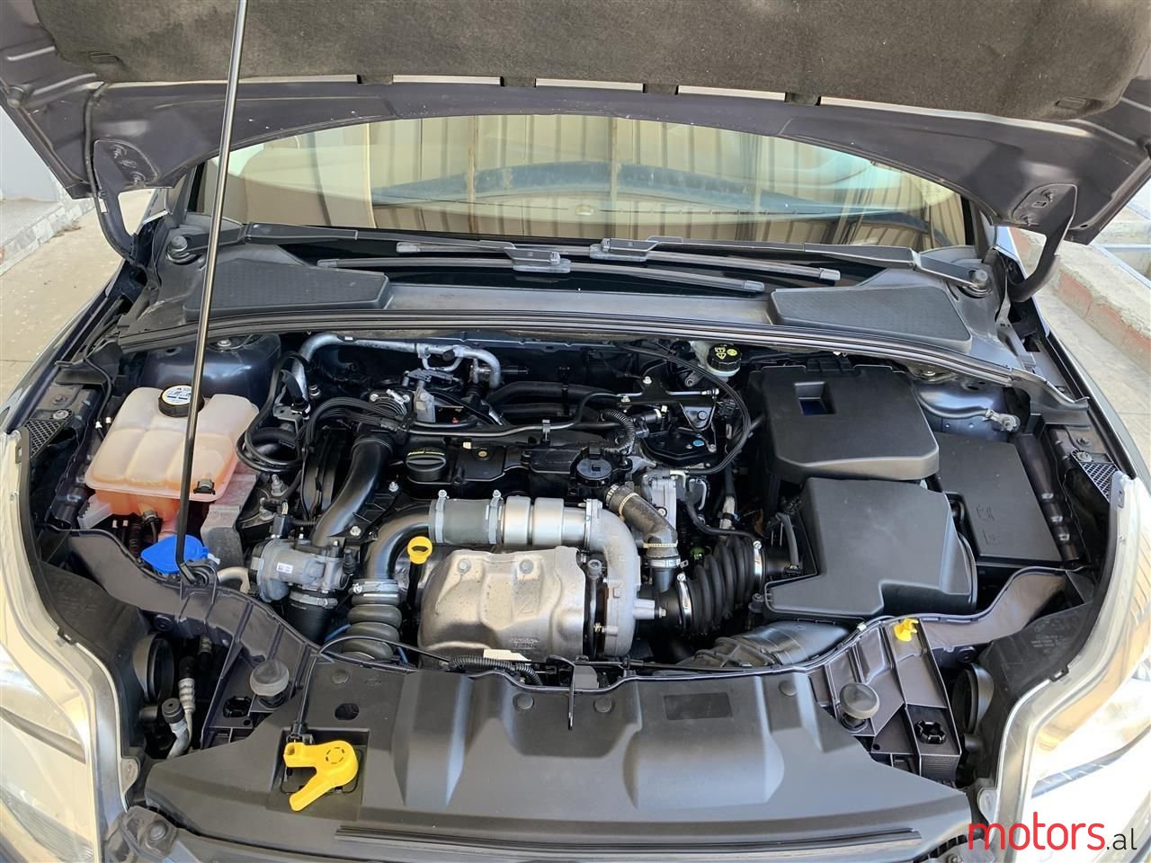 2011' Ford Focus photo #2