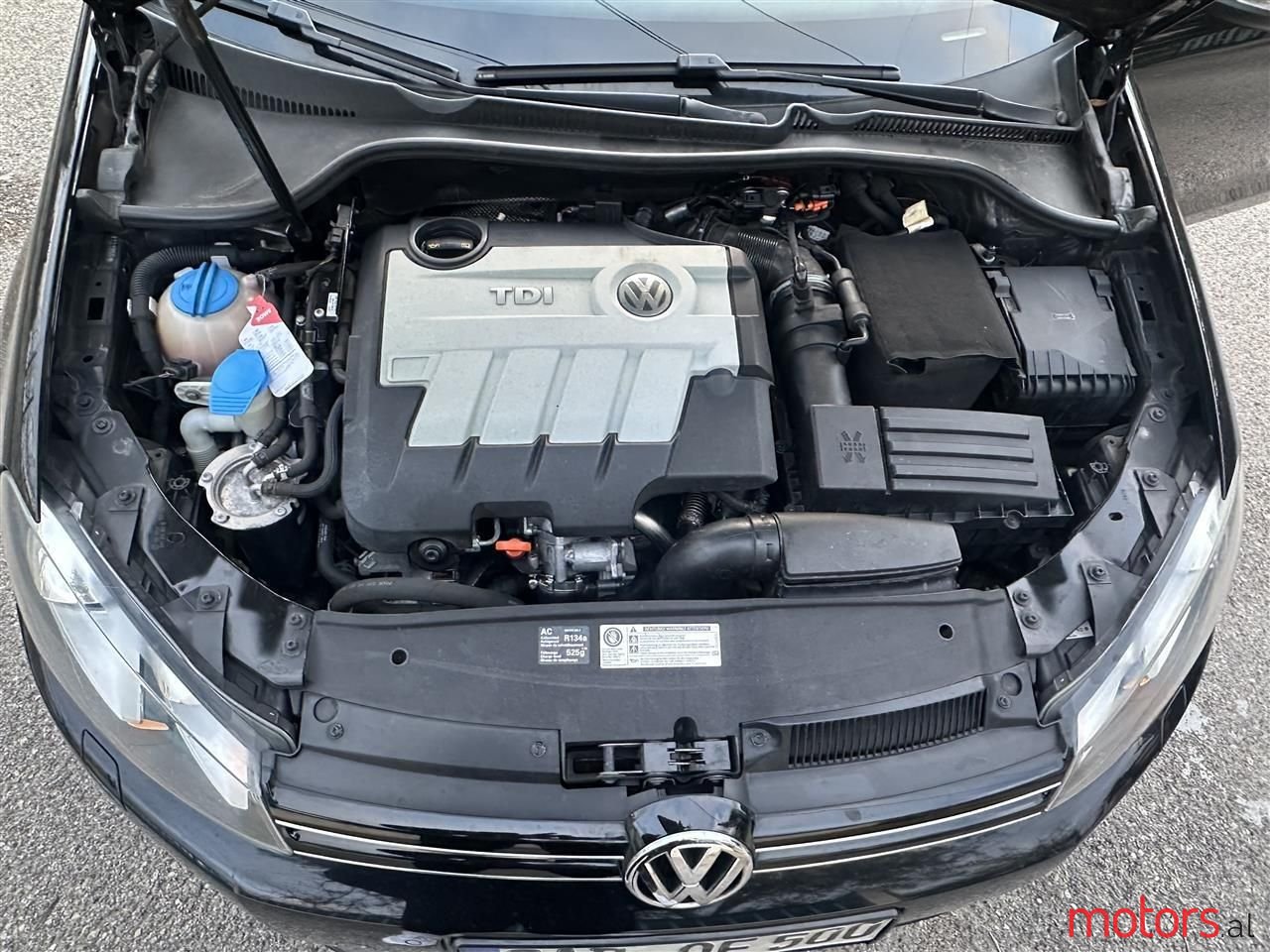 2009' Volkswagen Golf photo #6