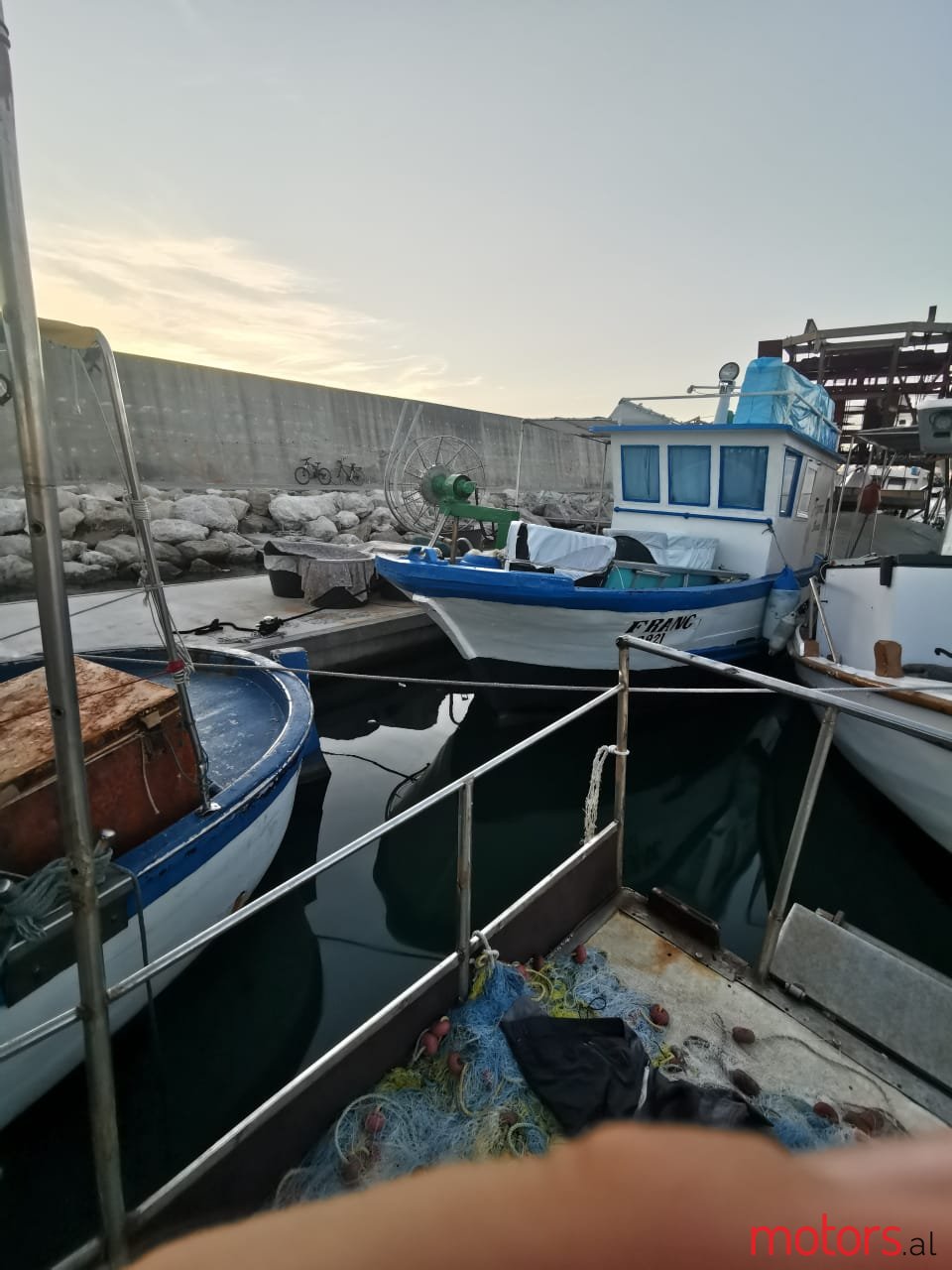 2008' Rybitwa photo #3