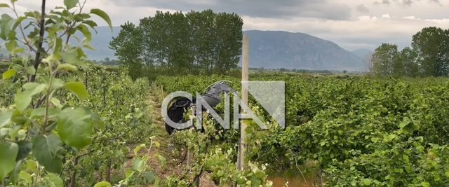 Aksident në aksin Korçë-Pogradec/ Raportohen dy të plagosur