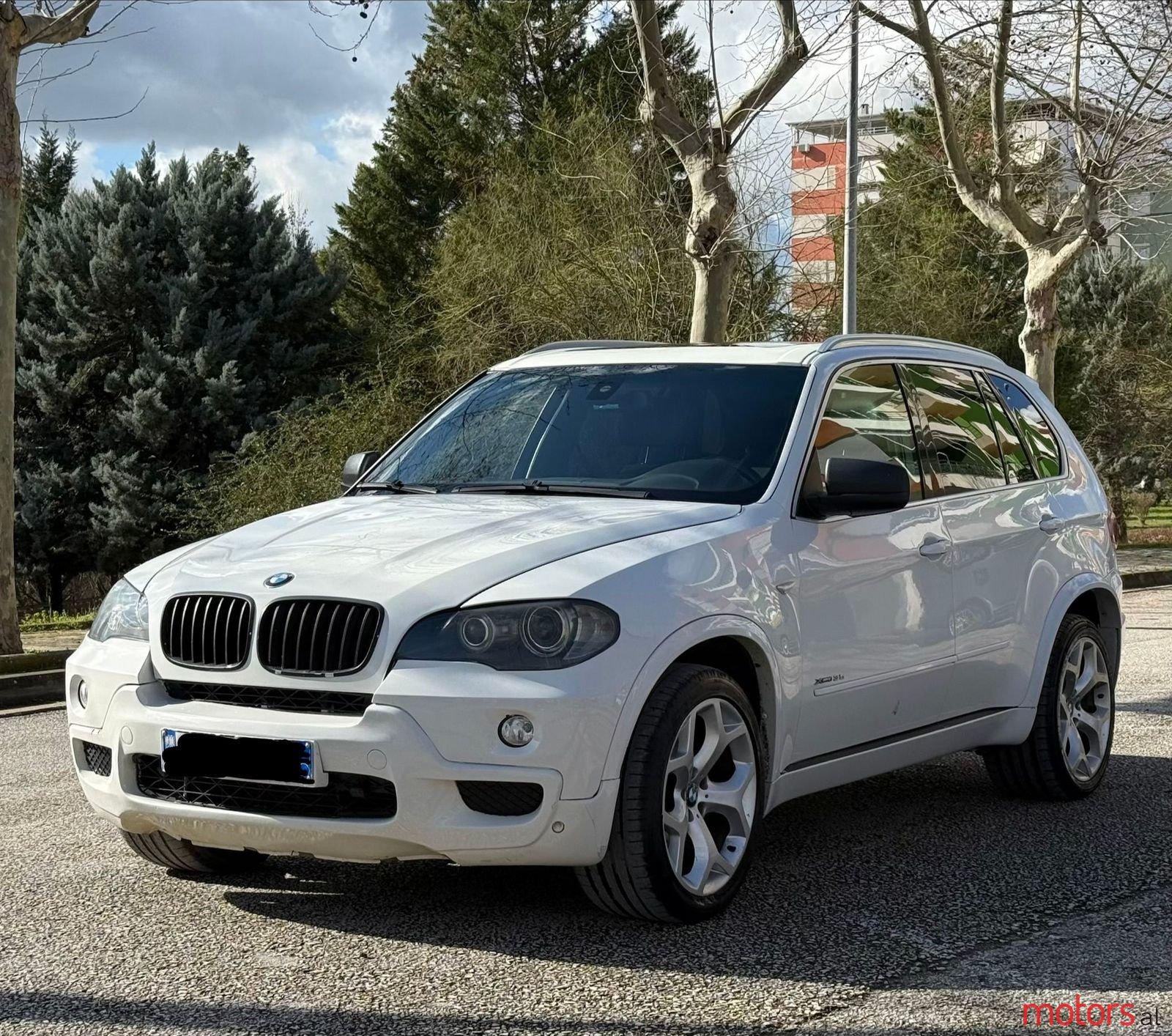 2011' BMW X5 photo #1