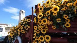 Elbasani, gati për Ditën e Verës/ Bashkia organizon programe të larmishme, Llatja: Të gjitha hotelet janë zënë