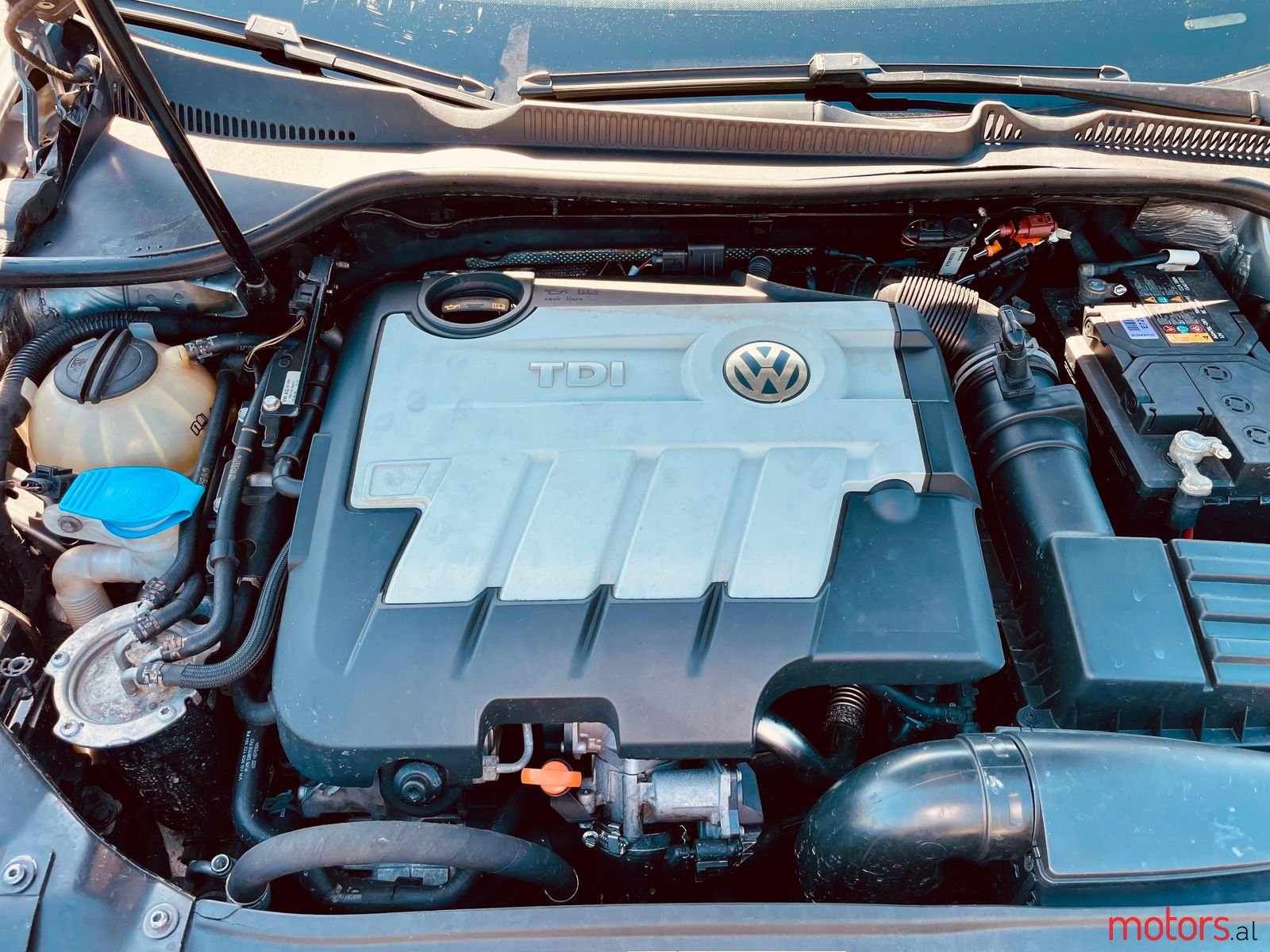 2010' Volkswagen Golf photo #4