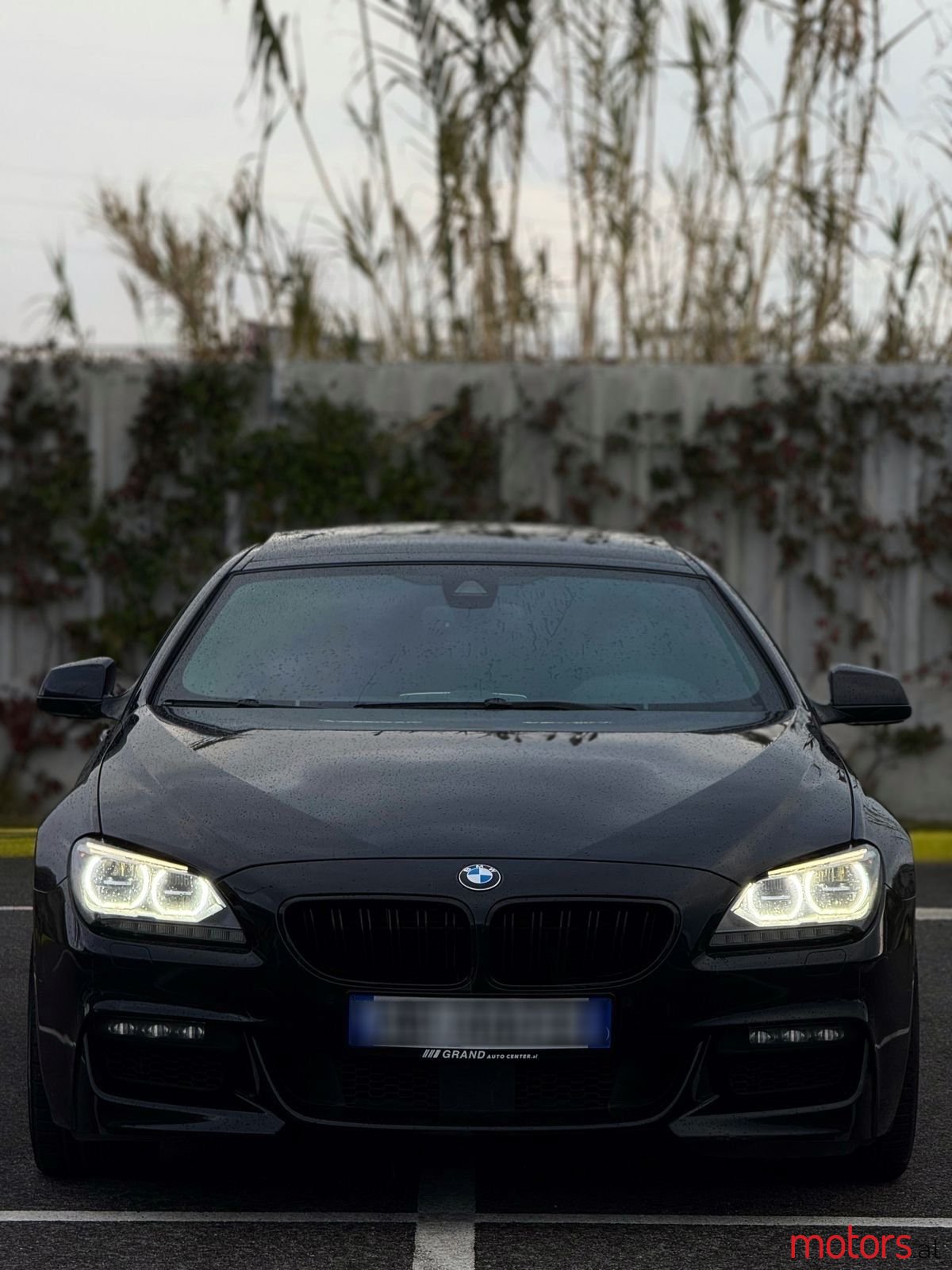 2014' BMW 650 photo #1