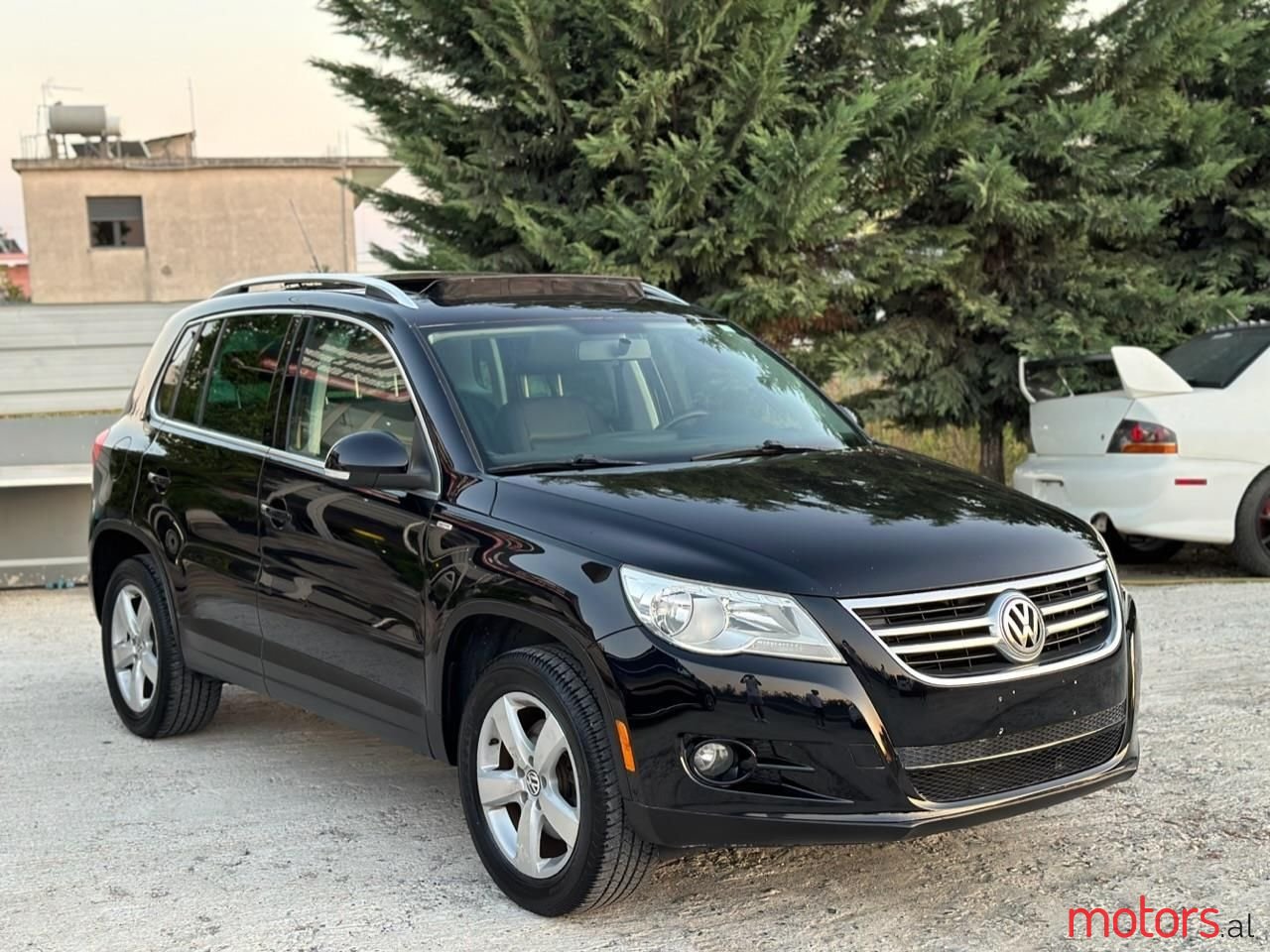 2010' Volkswagen Tiguan photo #4