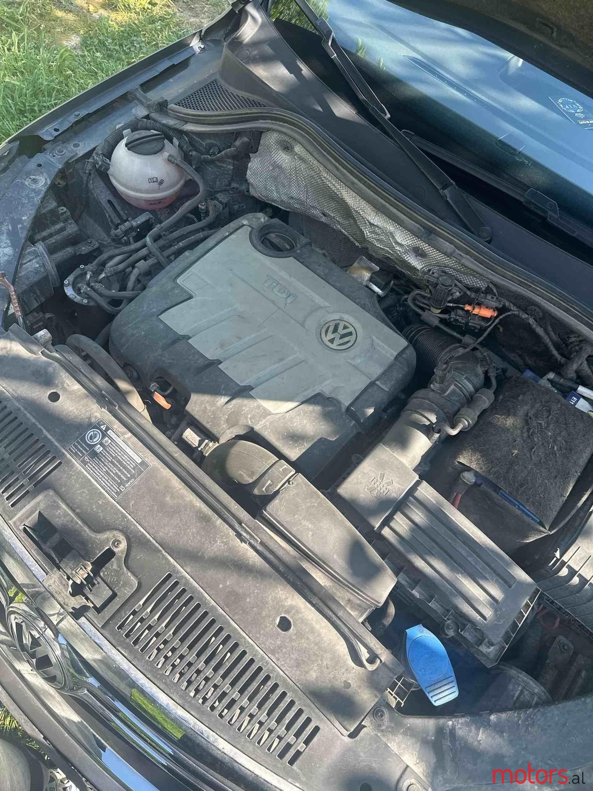 2008' Volkswagen Tiguan photo #4