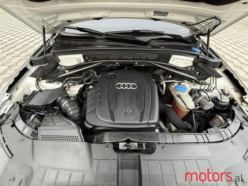 2010' Audi Q5 photo #4