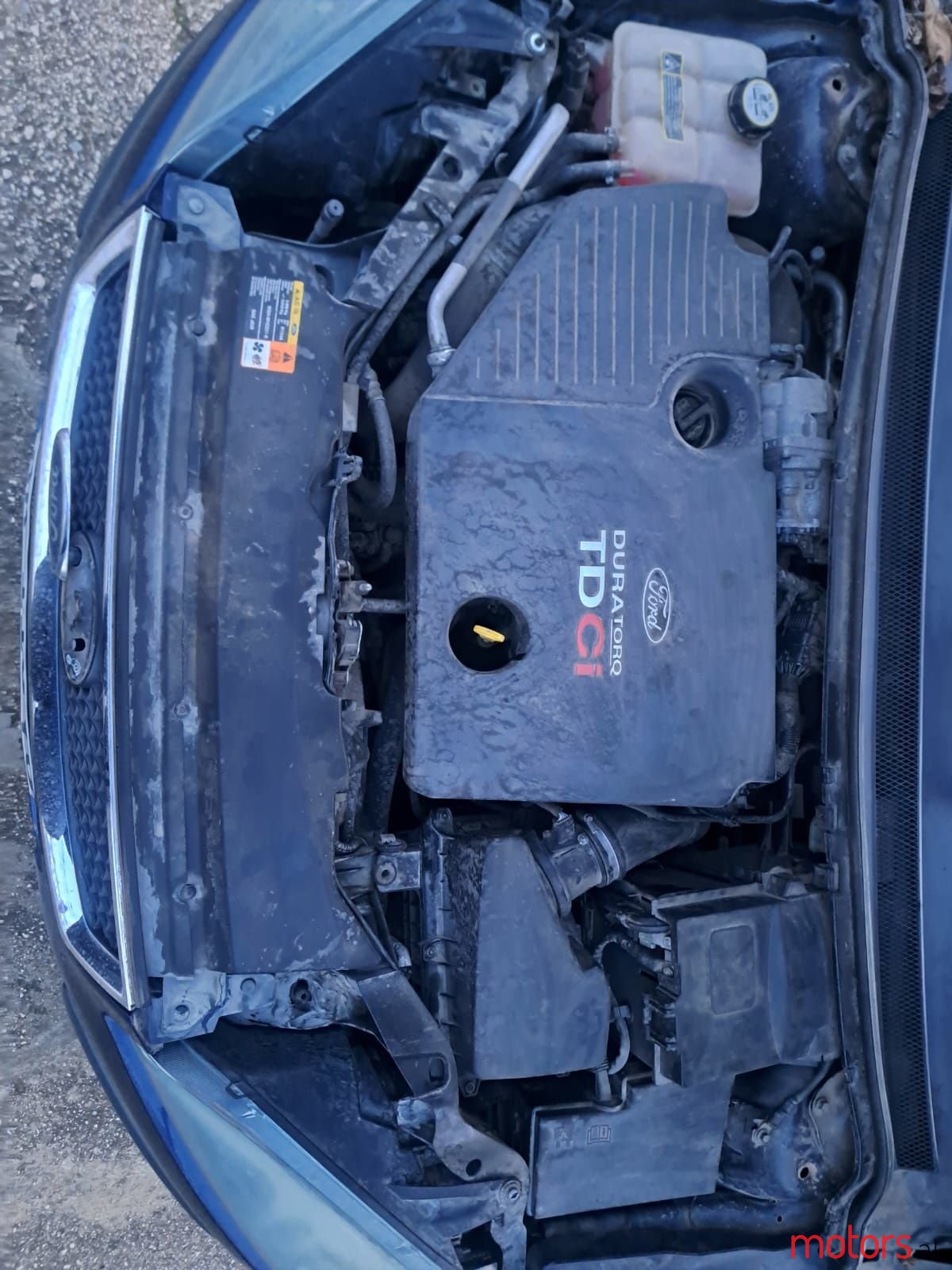 2006' Ford Focus photo #6