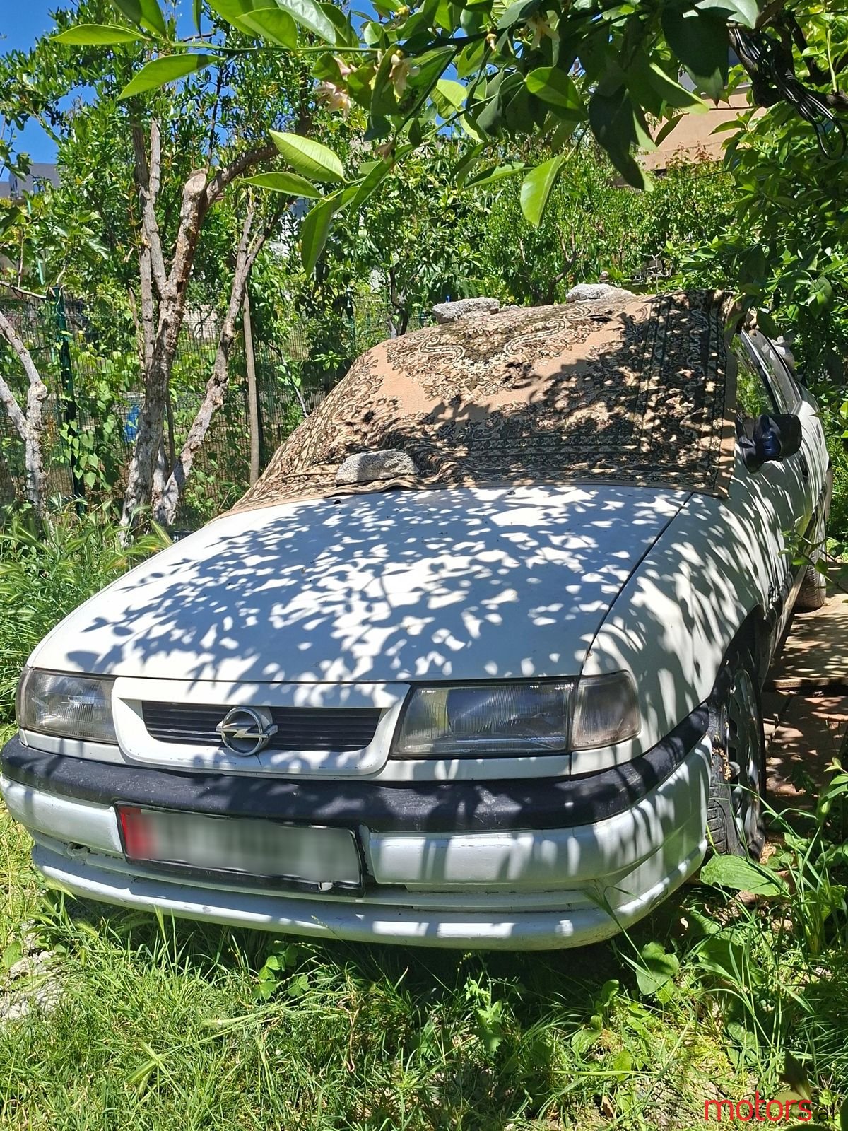 1993' Opel Vectra photo #1