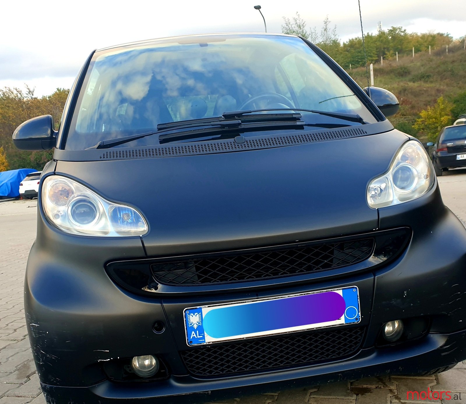 2010' Smart Fortwo photo #1