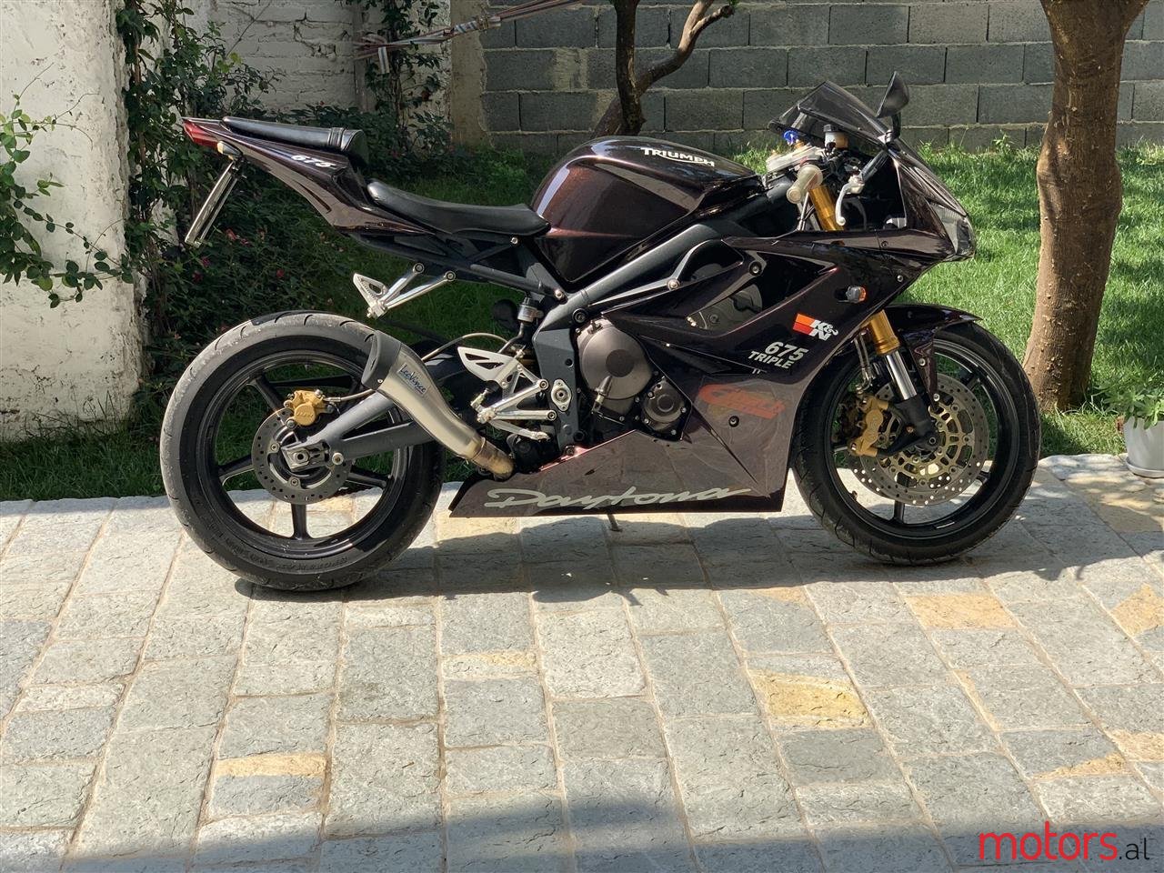 2008' Triumph photo #1