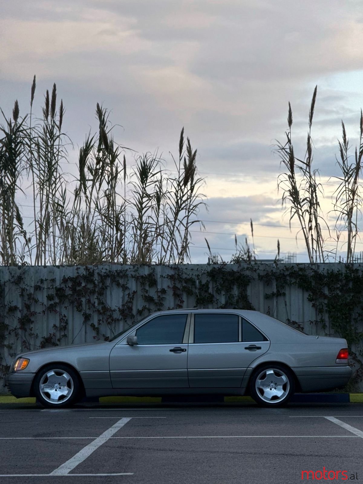 1995' Mercedes-Benz S 500 photo #4