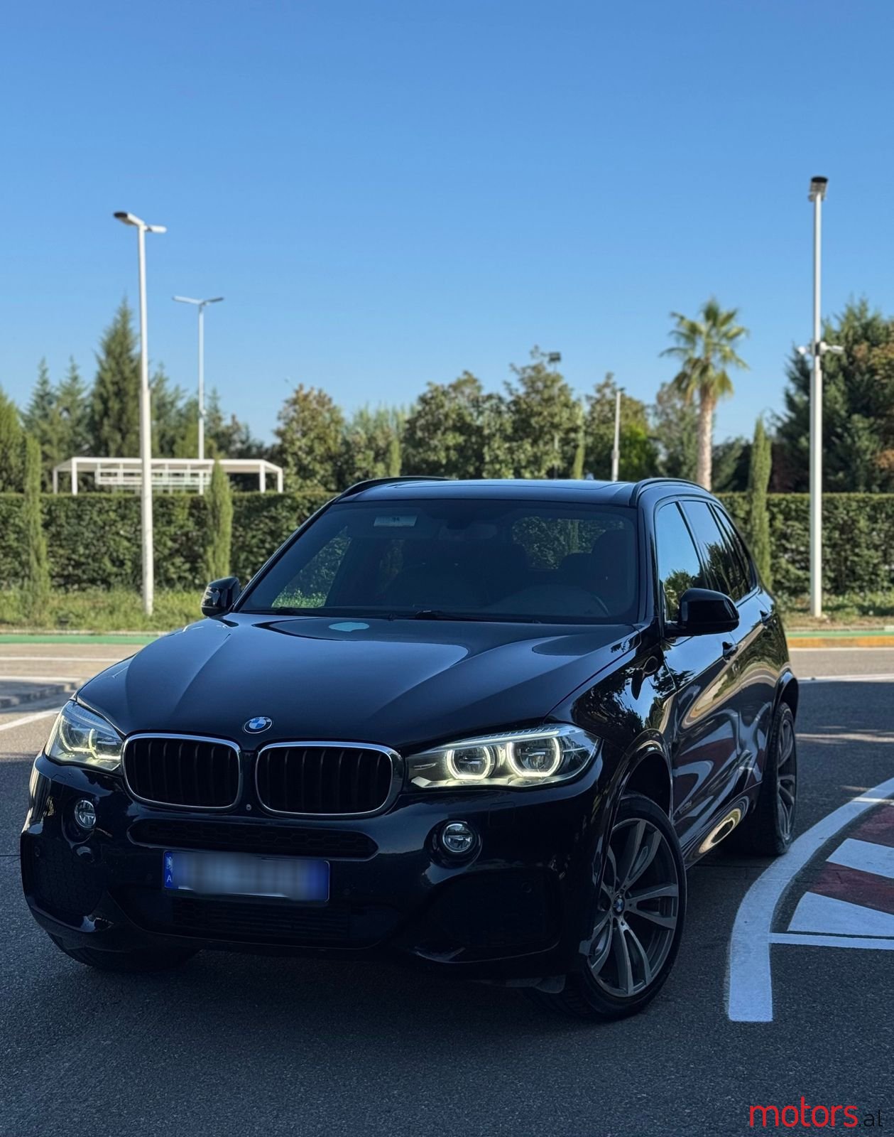 2014' BMW X5 photo #1