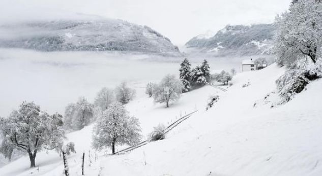 Reshjet e dëborës izolojnë tërësisht fshatin në Dibër, banorët: Na ndihmoni jemi bllokuar