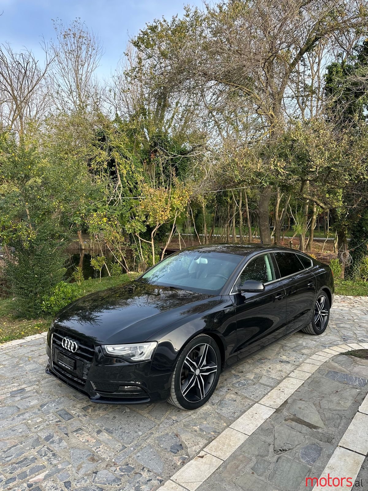 2013' Audi A5 photo #2