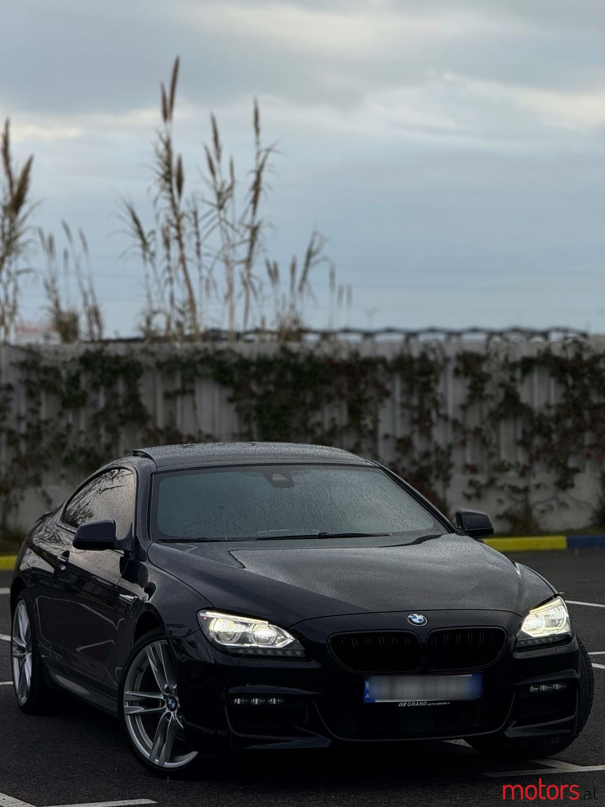 2014' BMW 650 photo #5