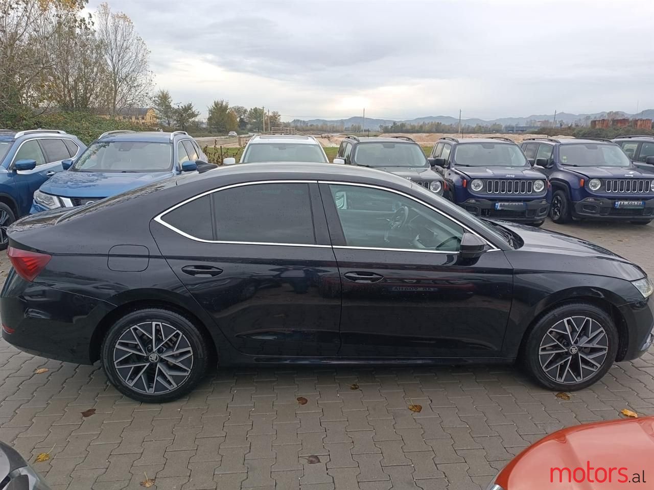 2020' Skoda Octavia photo #2