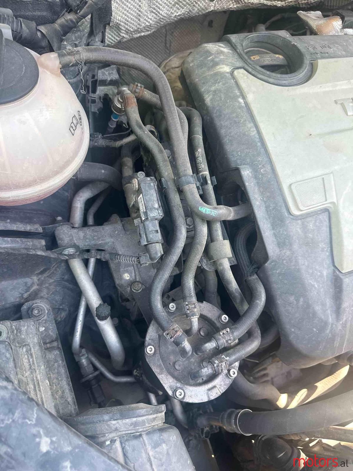 2008' Volkswagen Tiguan photo #5