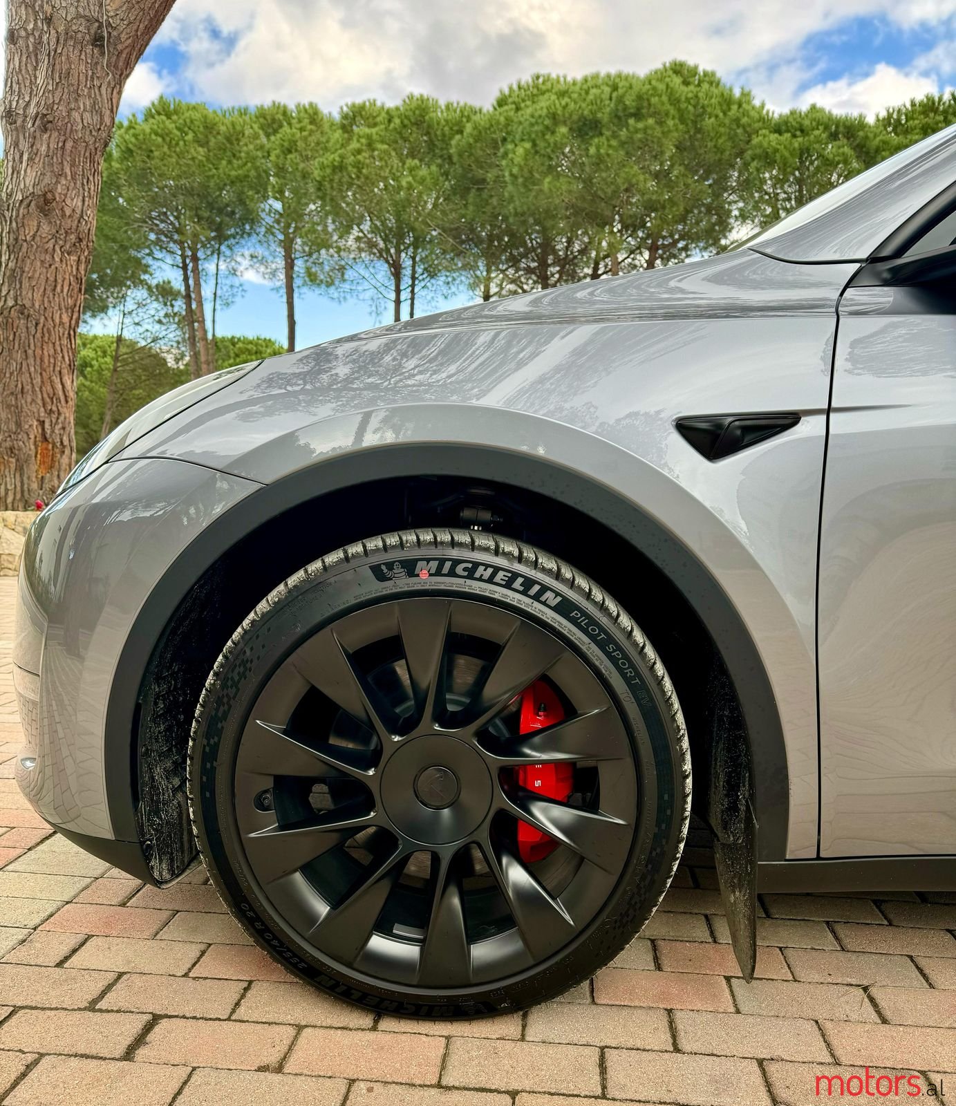 2024' Tesla Model Y photo #6