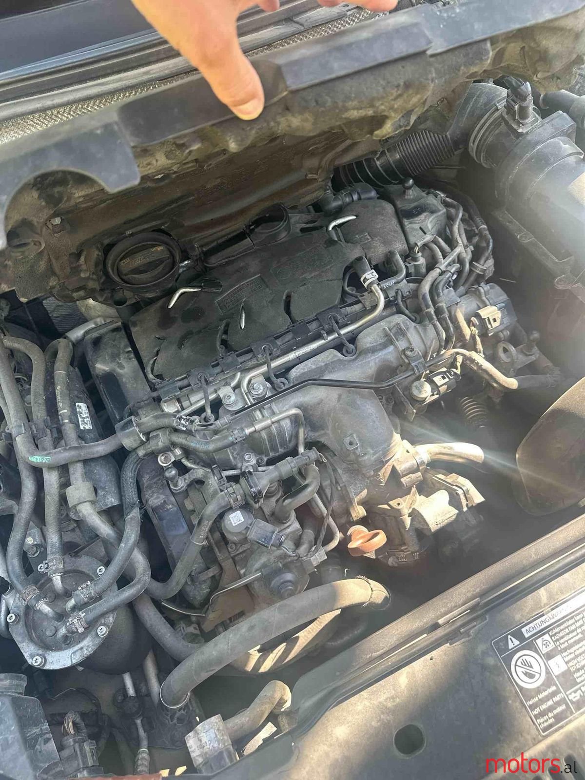 2008' Volkswagen Tiguan photo #6