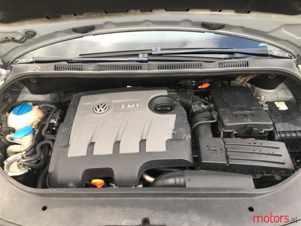 2011' Volkswagen Golf Plus photo #6