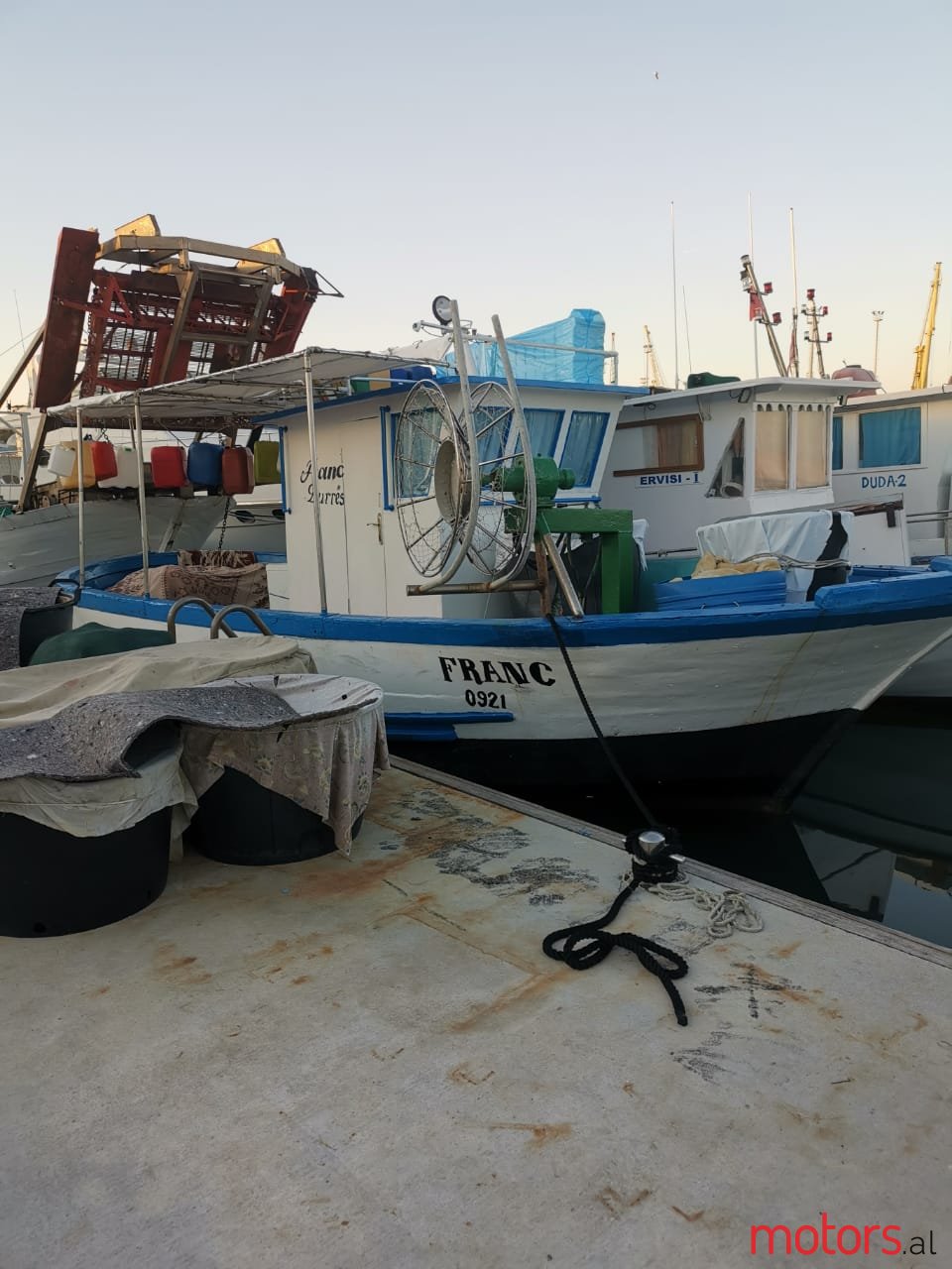 2008' Rybitwa photo #7