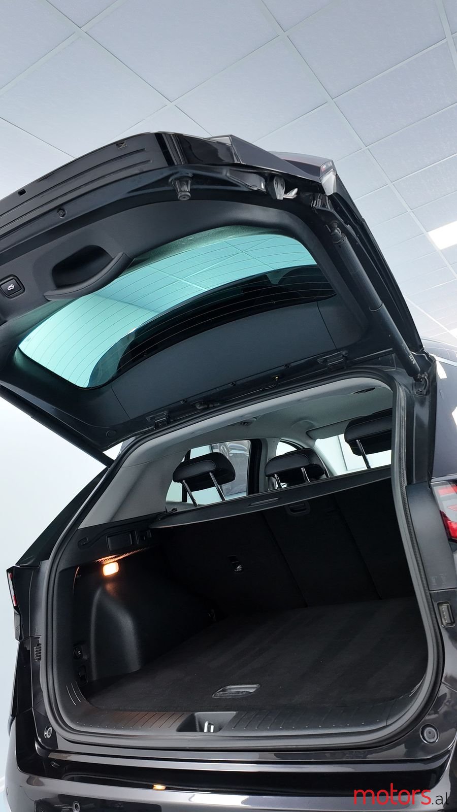 2023' Kia Sportage photo #4