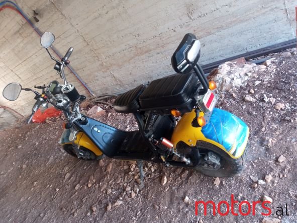 2020' Veken Velex photo #3