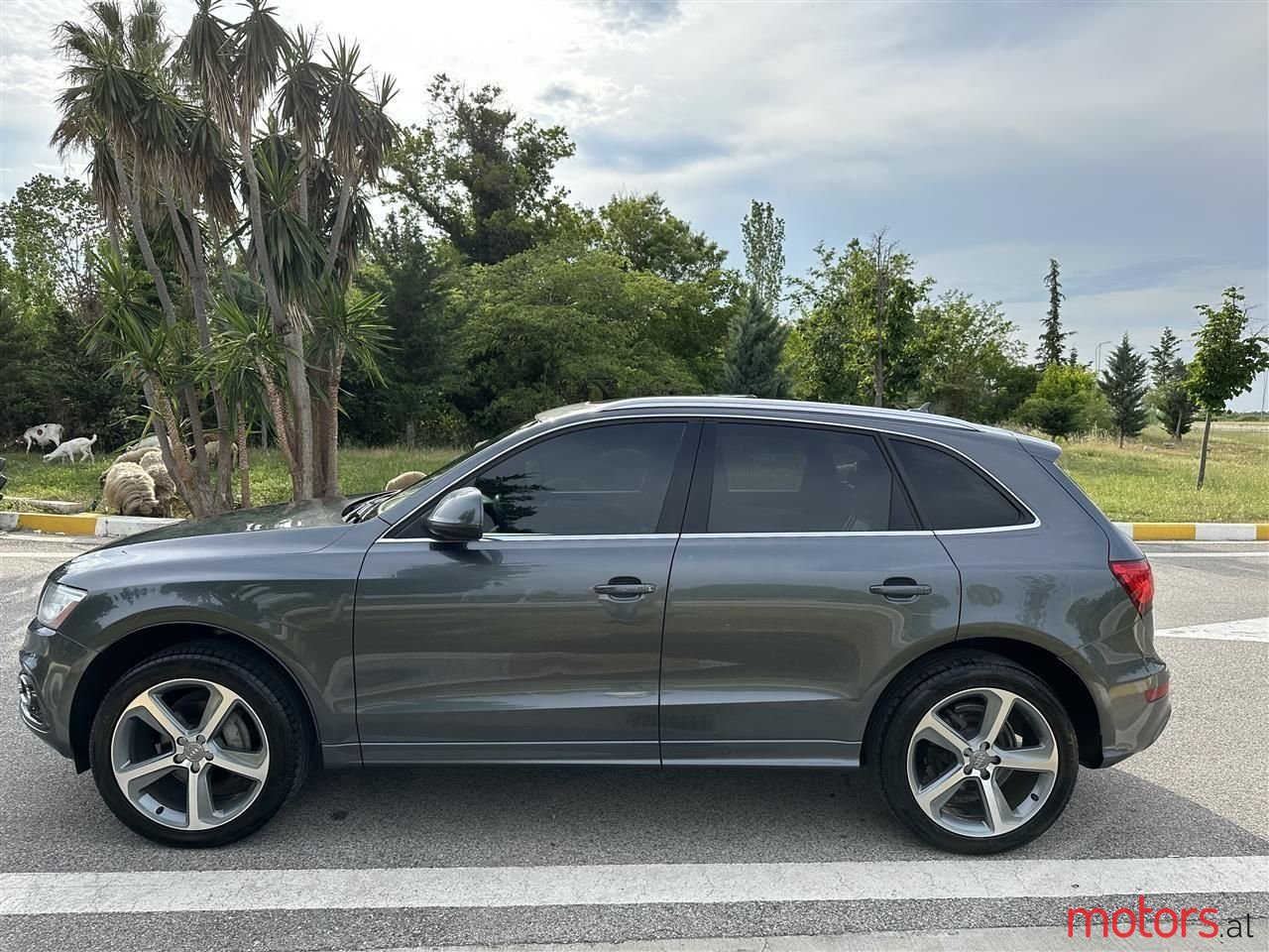 2014' Audi Q5 photo #4