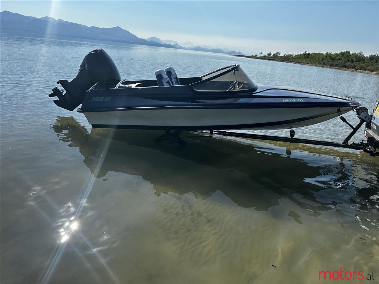 2006' Evinrude photo #1