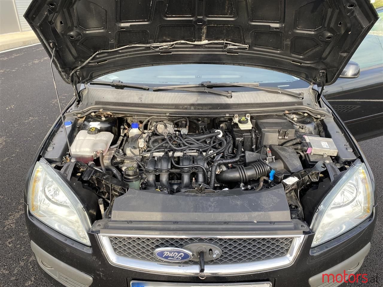 2005' Ford Focus photo #2