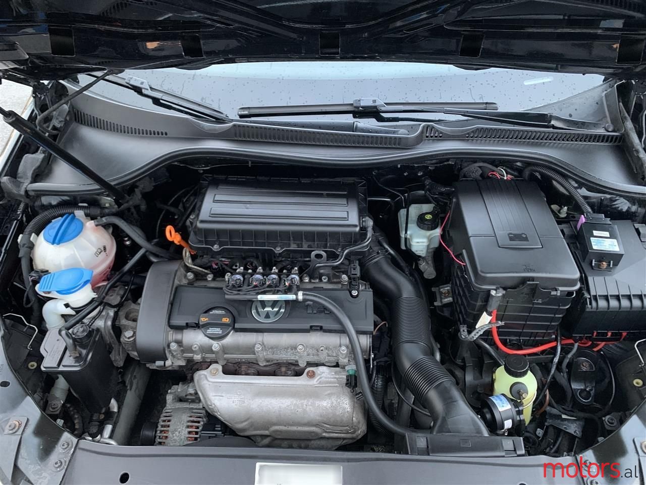 2009' Volkswagen Golf photo #2