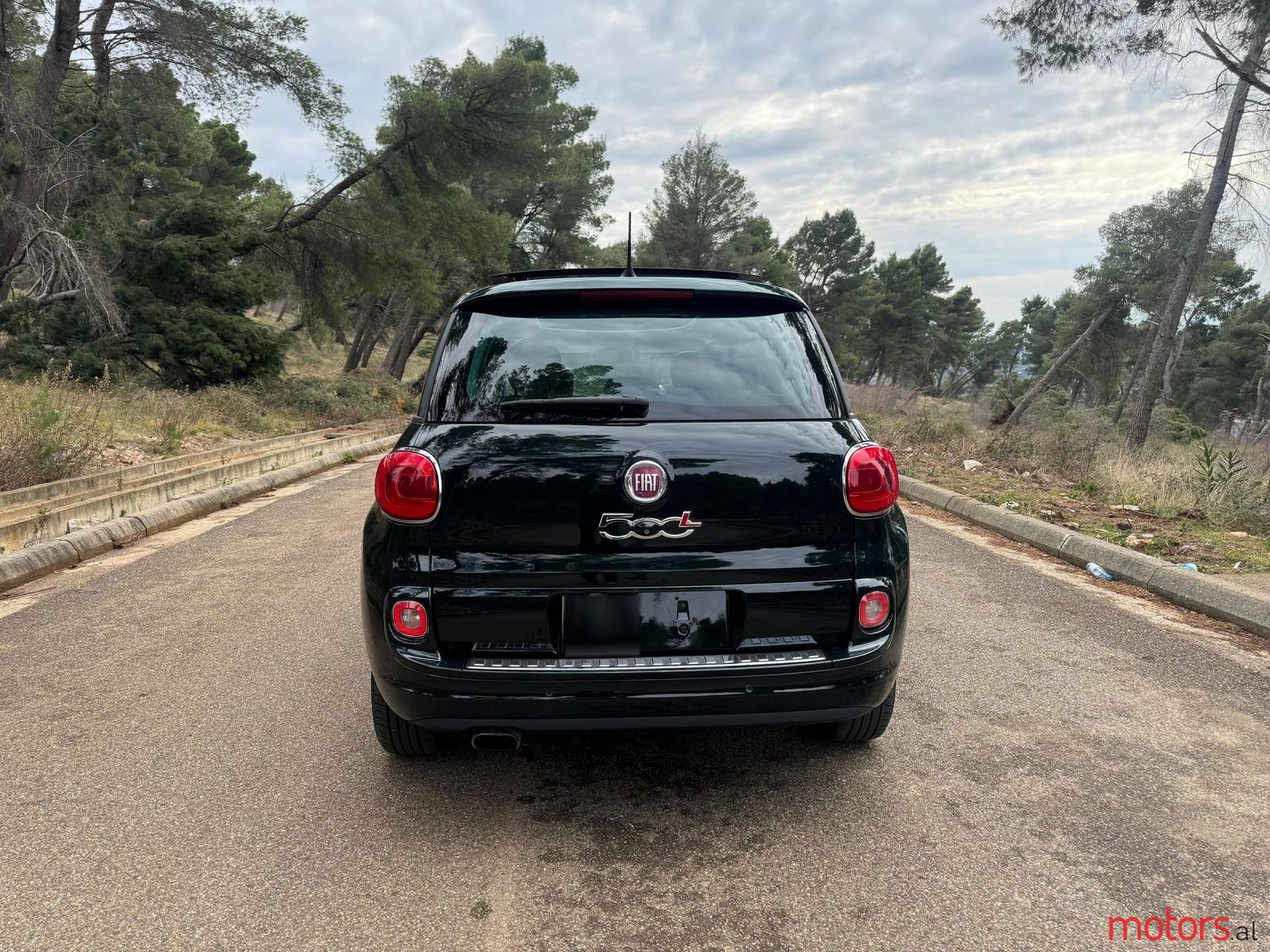 2014' Fiat 500L photo #3
