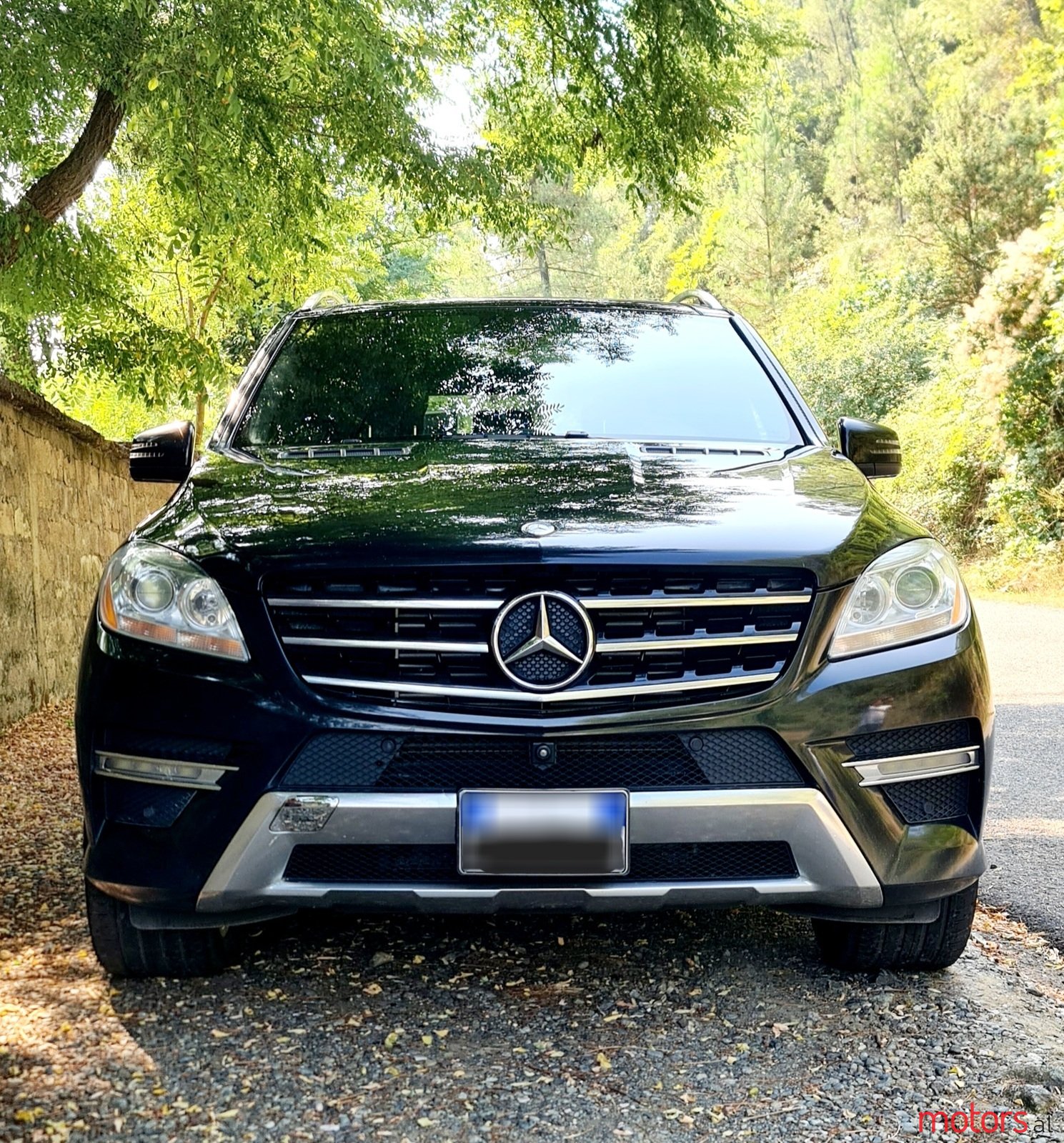 2015' Mercedes-Benz M-Class photo #2