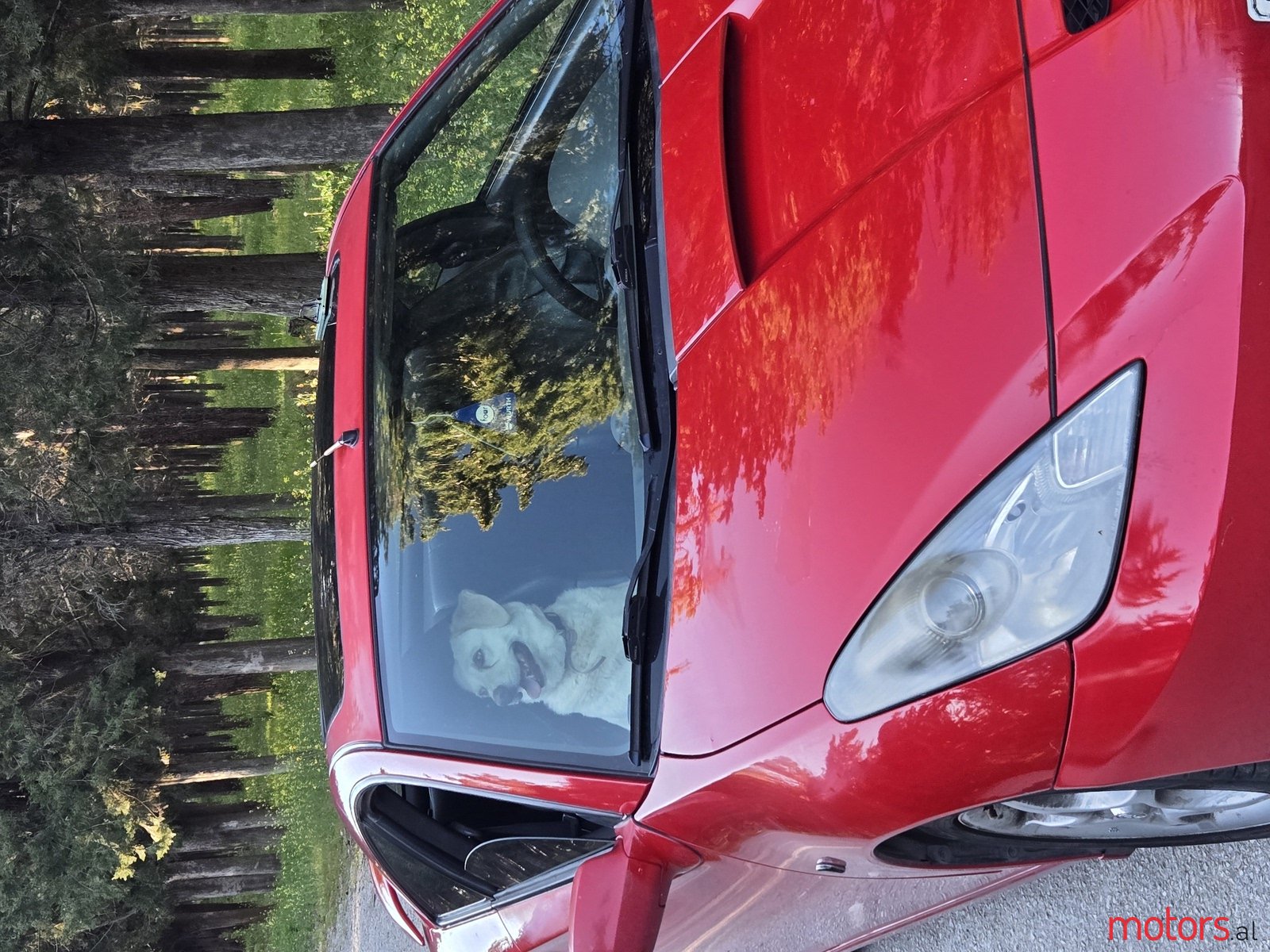 2001' Toyota Celica photo #7