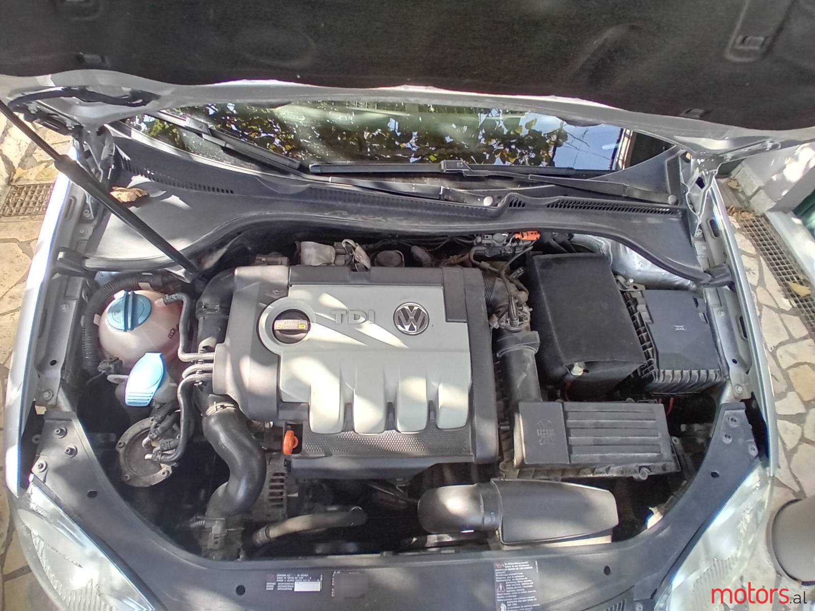 2008' Volkswagen photo #5