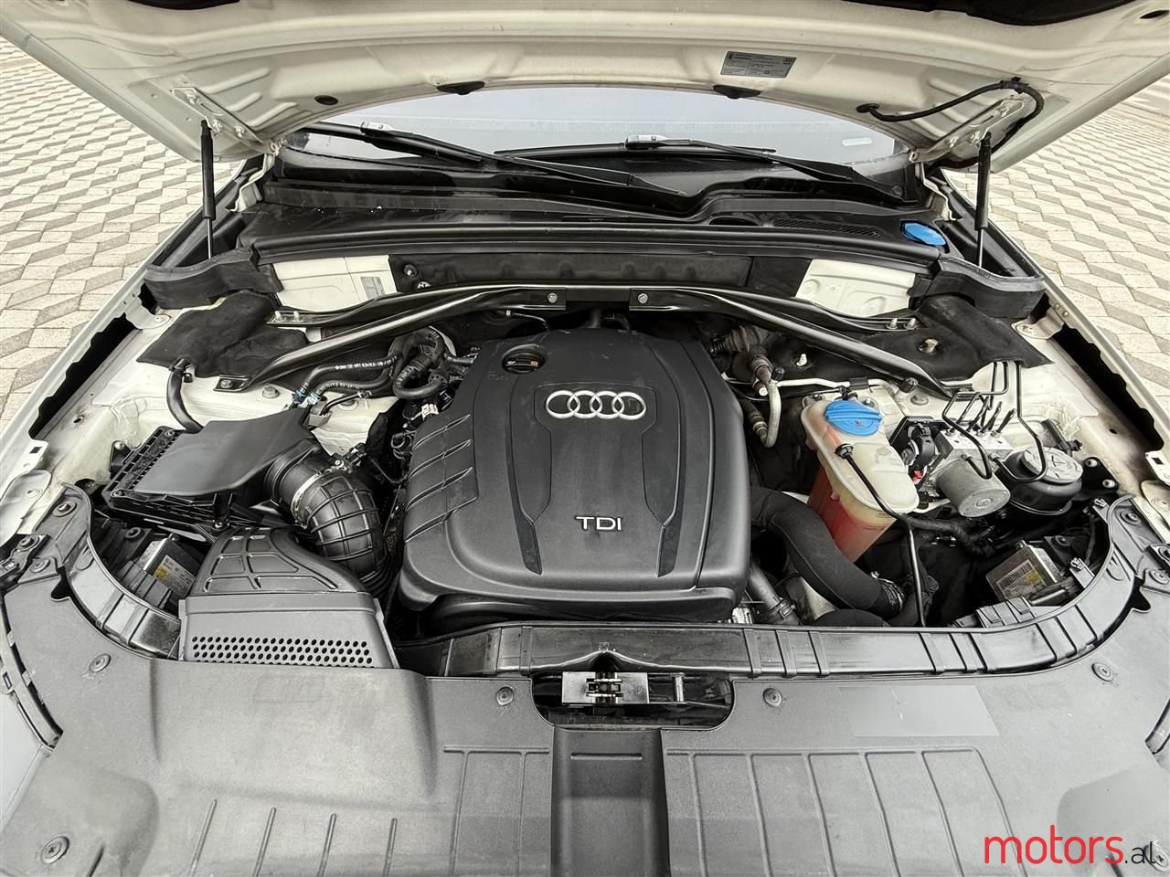 2010' Audi Q5 photo #4