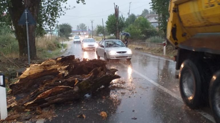 Moti i keq rrëzon pemën, bllokohet aksi Gjirokastër-Kakavijë