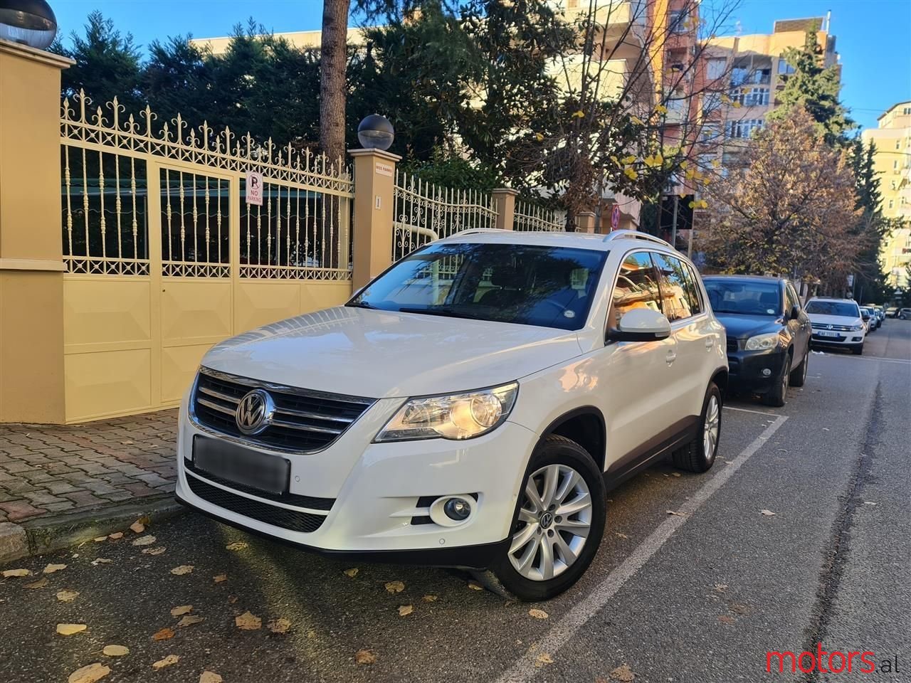 2011' Volkswagen Tiguan photo #1