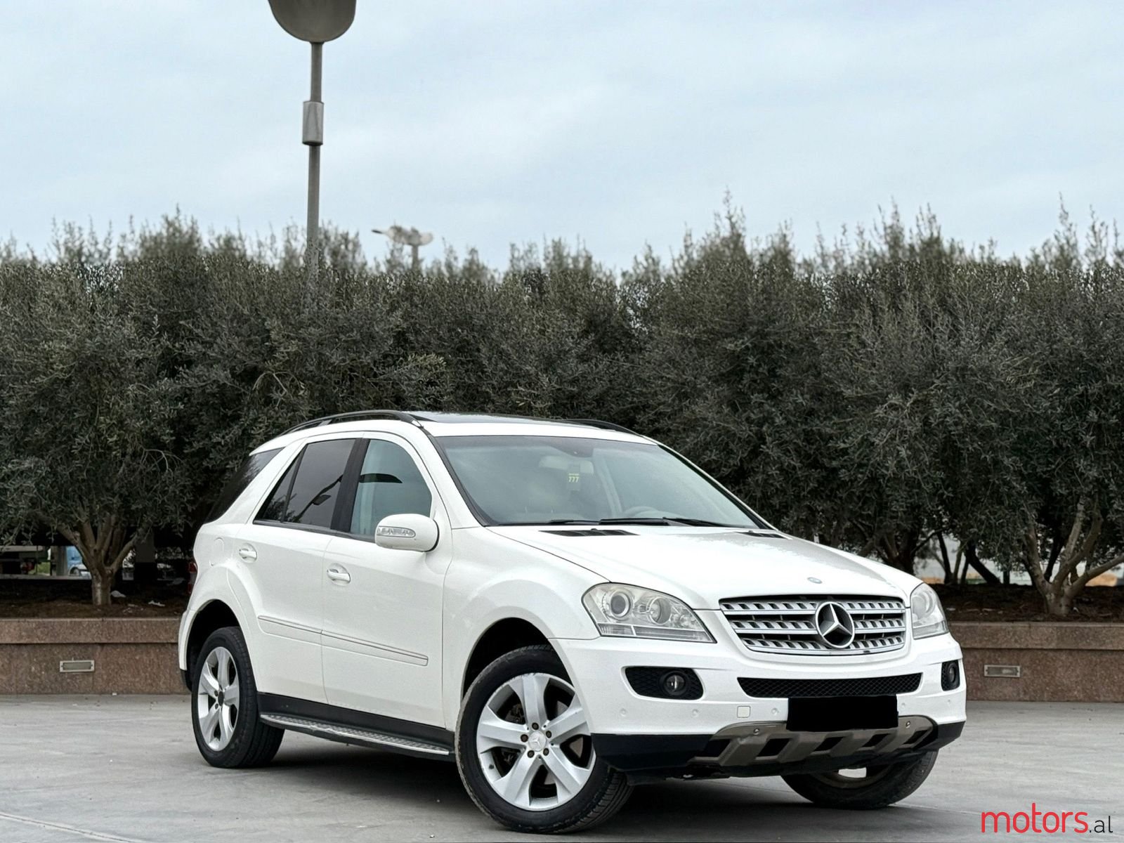 2009' Mercedes-Benz ML 320 photo #1
