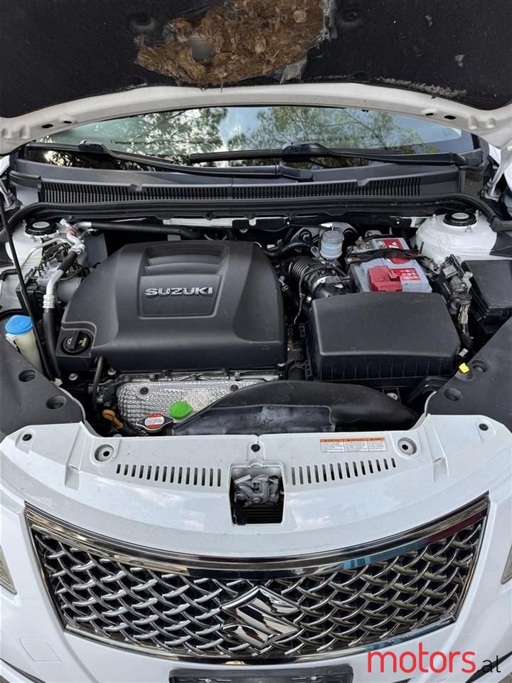 2010' Suzuki Kizashi photo #5