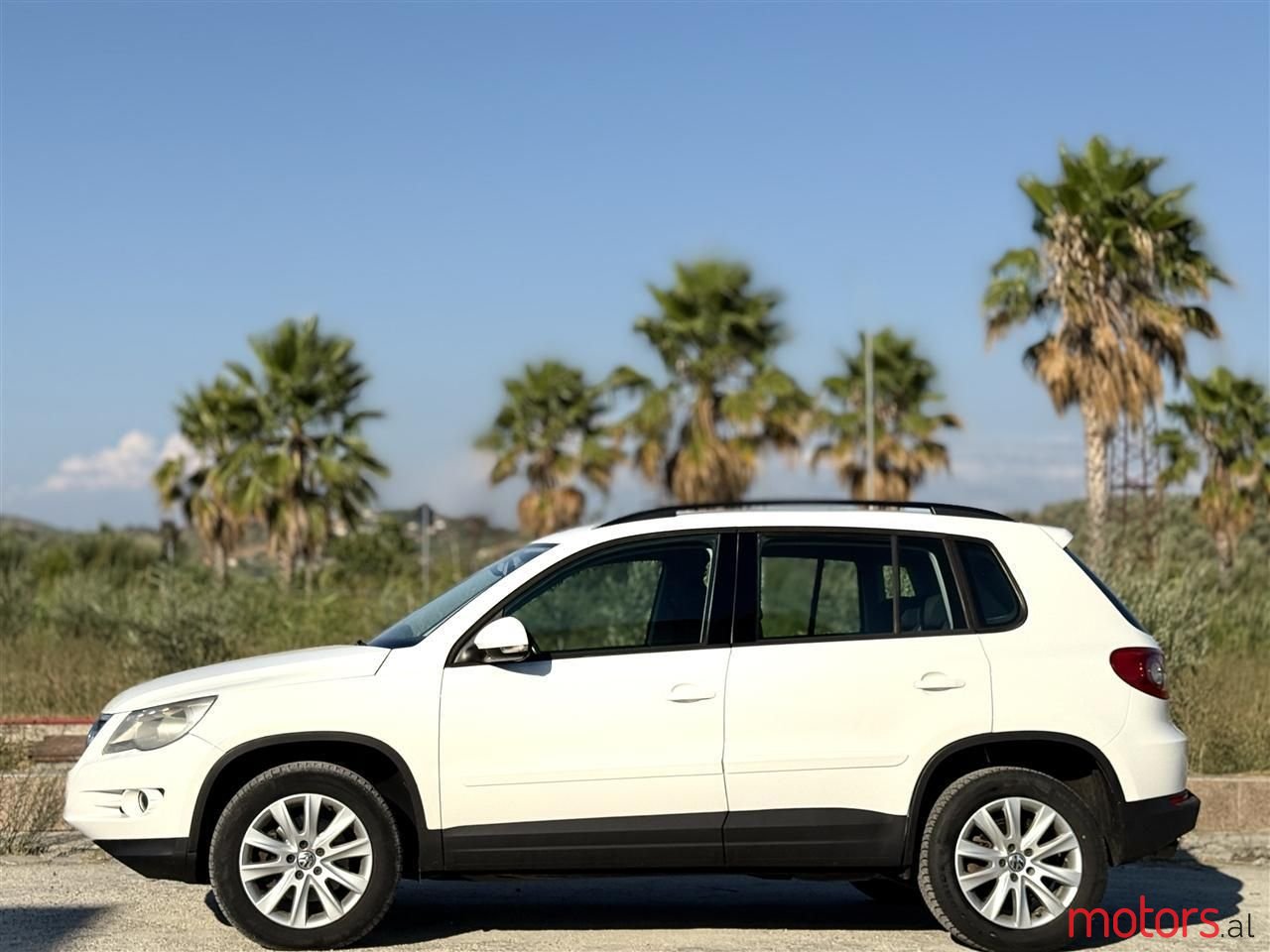 2009' Volkswagen Tiguan photo #5