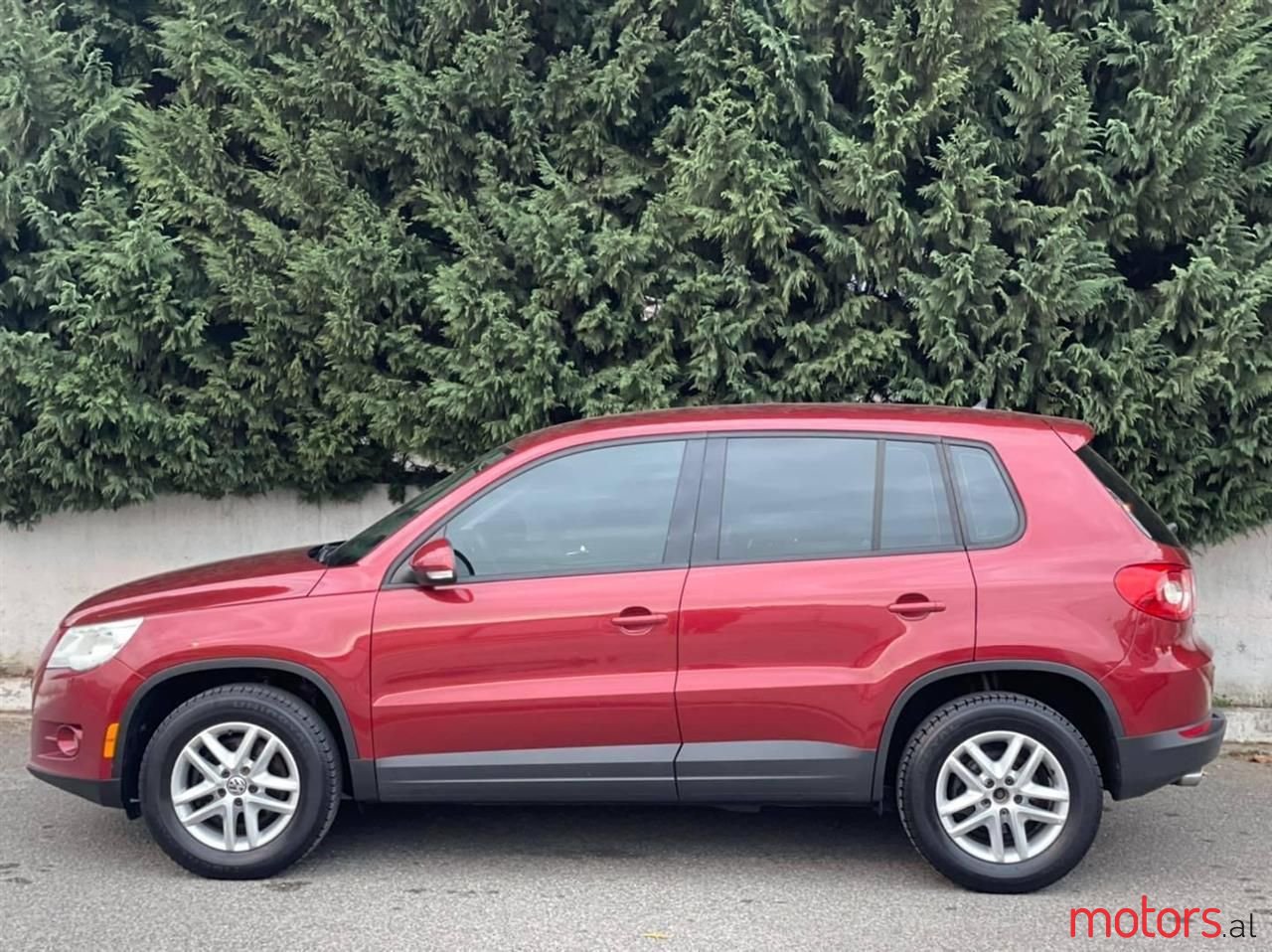 2009' Volkswagen Tiguan photo #1