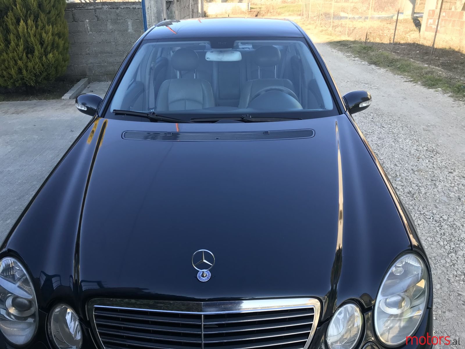 2003' Mercedes-Benz E-Class photo #5