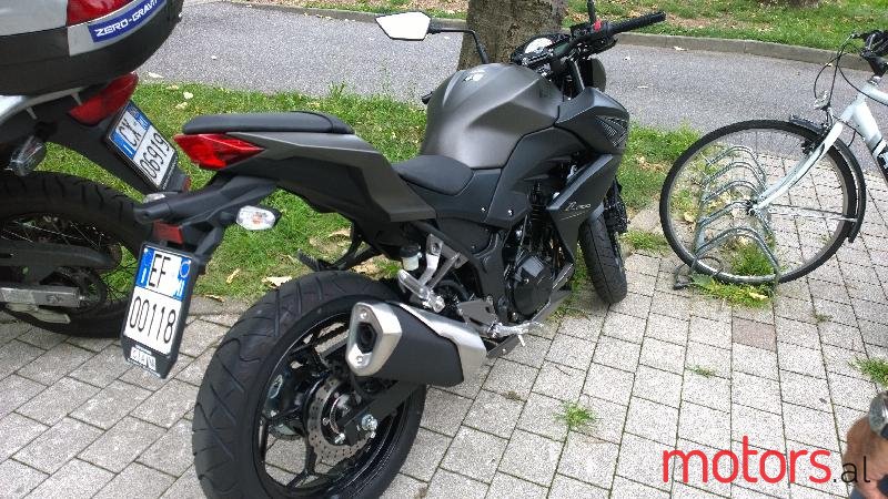 2010' Kawasaki photo #1